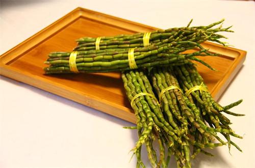 铁皮石斛好种植吗需要施肥吗,铁皮石斛的种植前景