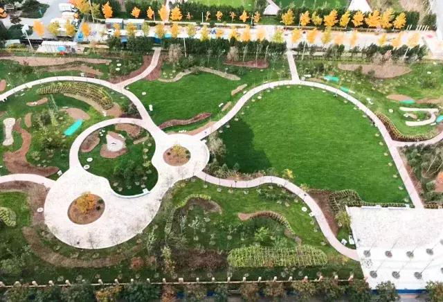 海淀后花园,海淀后花园小院