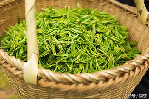 绿茶炒青和烘青工艺,炒青绿茶与烘青绿茶有什么不一样