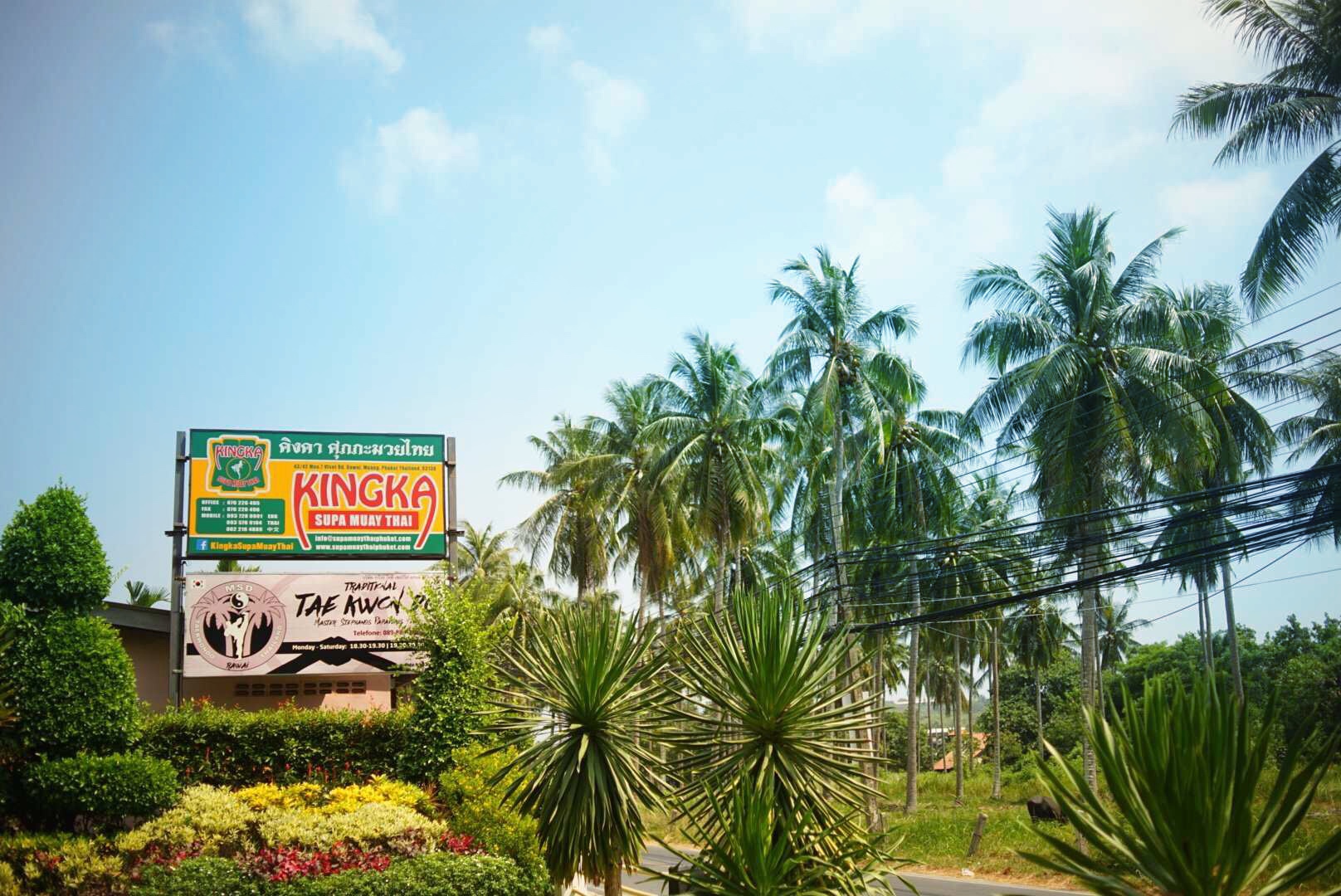 泰拳是练什么的,泰拳一般是练什么