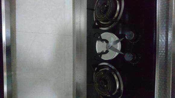 橘猫掉毛用剪刀剪,中华田园猫橘猫走丢了会回来吗