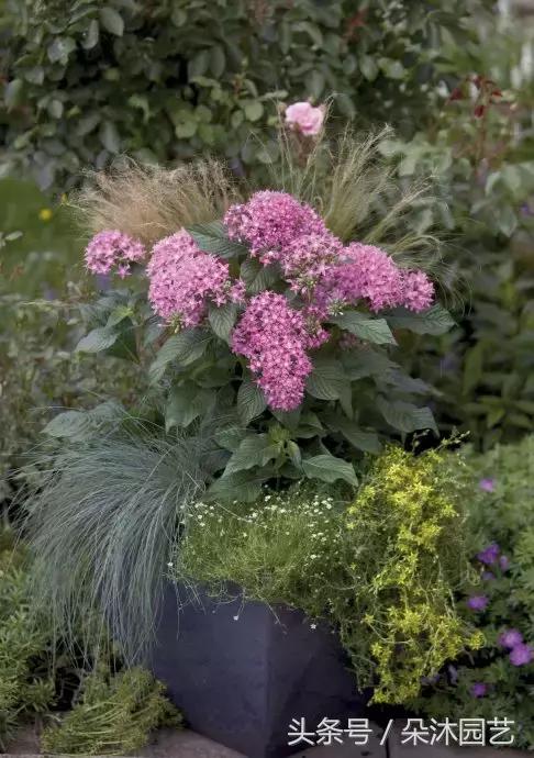 园艺插花容器,容器家庭园艺