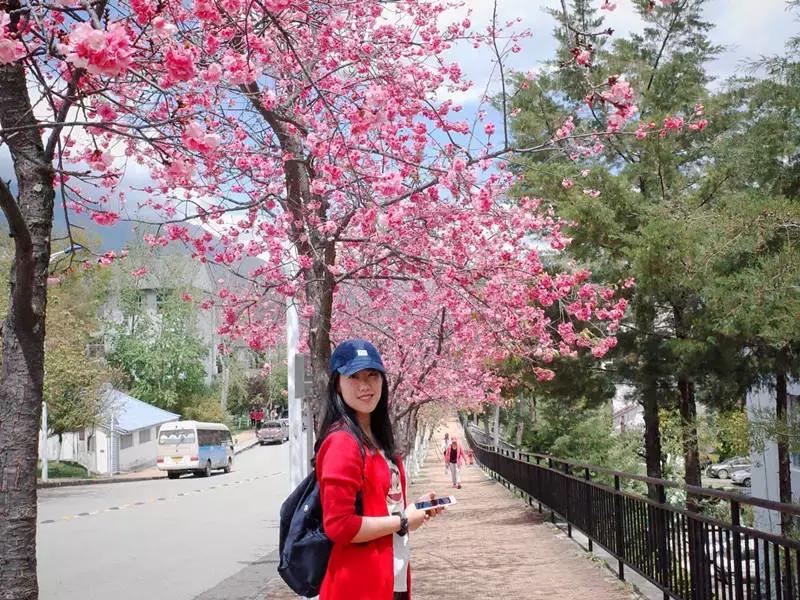 婀栧崡鏄ュぉ璧翠竴鍦鸿姳娴风殑绾︿細,涓囩墿澶嶈嫃缇庝附鑺辨湹