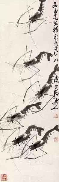 齐白石画虾的6只虾,画虾齐白石虾的画法步骤
