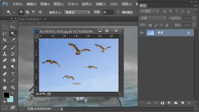 ps合成小孩猫咪海报,ps工具小猫插画怎么做