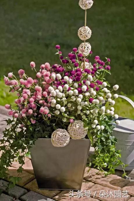 园艺插花容器,容器家庭园艺