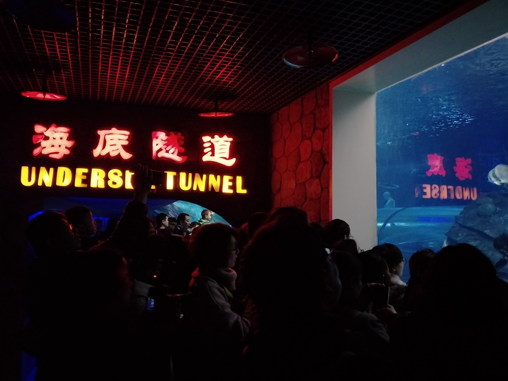 北京南到太平洋海底世界,走进太平洋海底世界视频