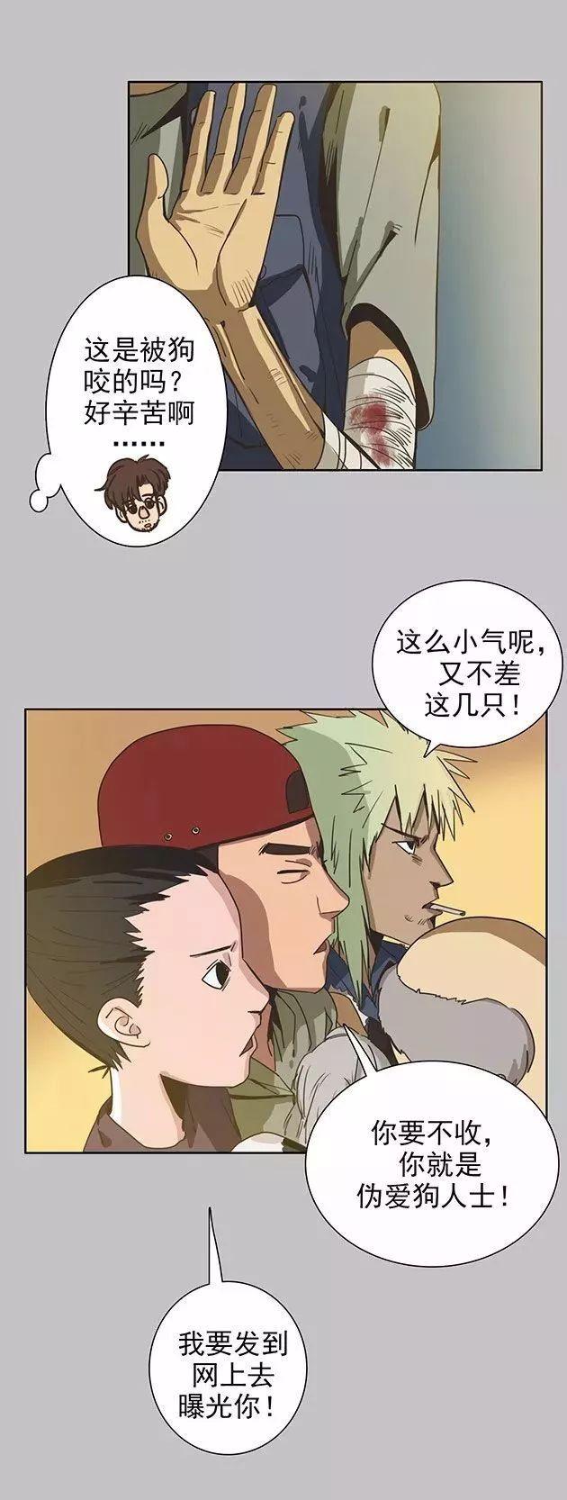 猫和铲屎官的日常生活漫画,铲屎官的搞笑漫画