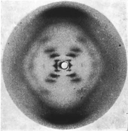 康桥女生游泳,康桥小镇女孩