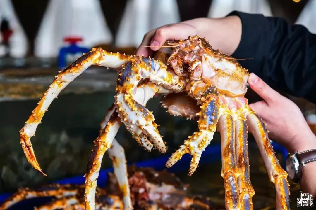 天津高档海鲜自助波龙帝王蟹,海鲜自助天津帝王蟹