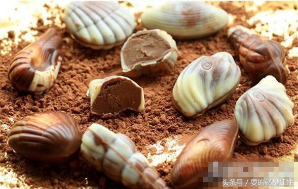 世界十大顶级巧克力品牌有哪些,十大高级巧克力品牌