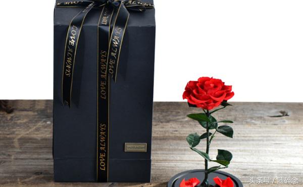 闺蜜礼物永生花,永生花diy礼物