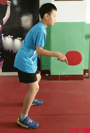 乒乓球训练教材,乒乓球系统训练计划明细表