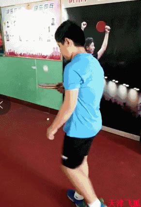 乒乓球系统训练计划明细表,乒乓球基础教练教学书籍