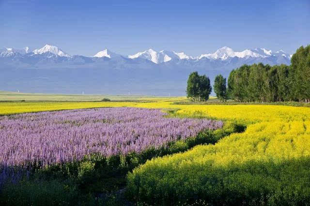 中国最值得去的10大5A级景区,十大最良心景点排名