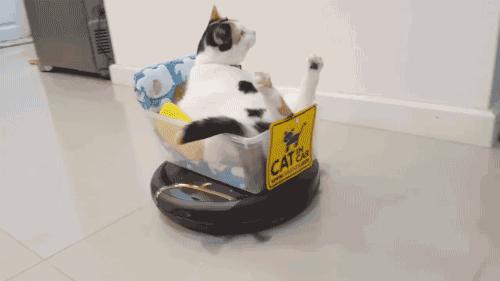 哆啦a梦里面的科技有多少实现了,哆啦a梦里最逆天的道具