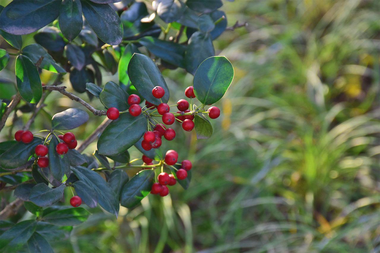 相机入门推荐尼康d7500,尼康d5600单反相机入门教程