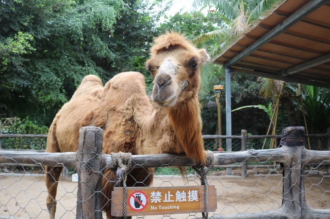 三亚大理丽江哪里拍婚纱照好,去三亚拍婚纱照中国风