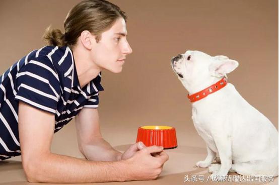 美国海关禁止和限制入境的物品,美国海关入境携带物品规定