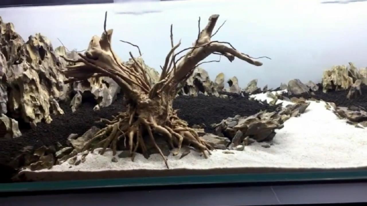 鱼缸微景观的方法和技巧,桌面鱼缸造景新手教程