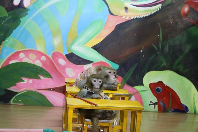 三亚大理丽江哪里拍婚纱照好,去三亚拍婚纱照中国风