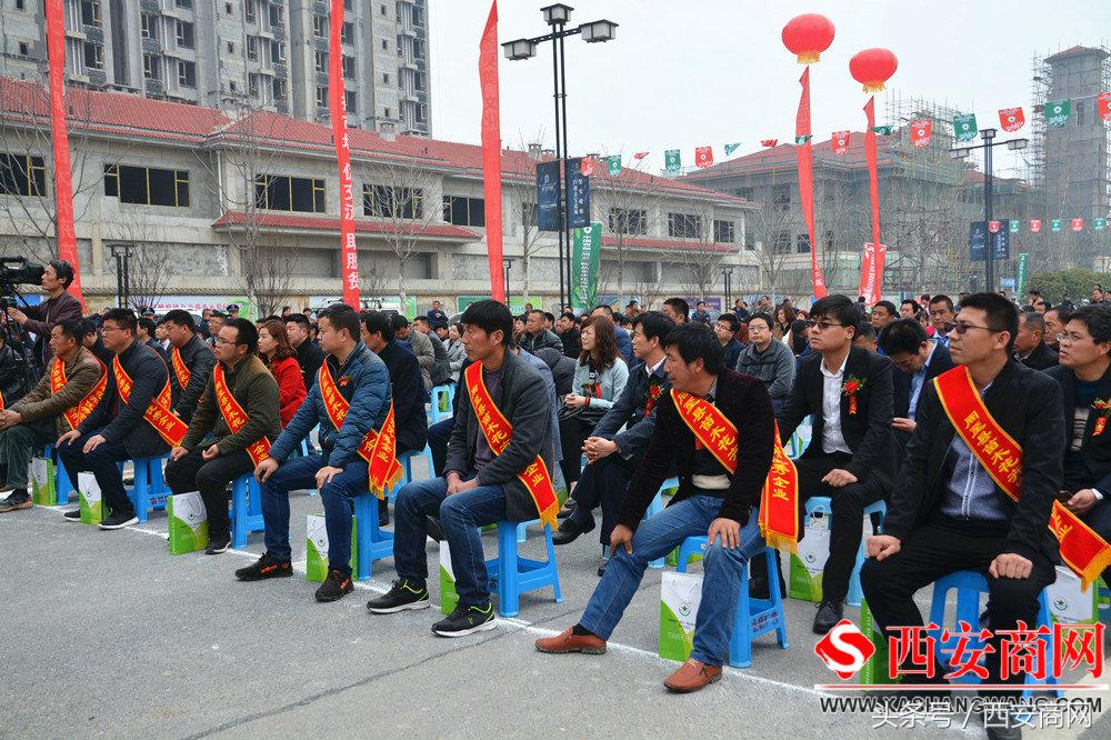 2024年周至苗木交易平台,苗木花卉销售合同书