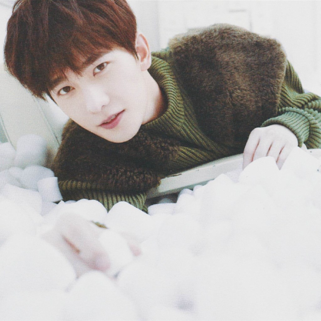 赞美杨洋的文字简短,夸杨洋的唯美文字