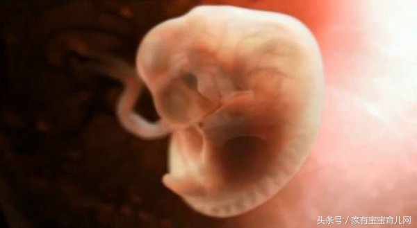 怀胎十月每个月注意的问题,怀胎十月最怕什么