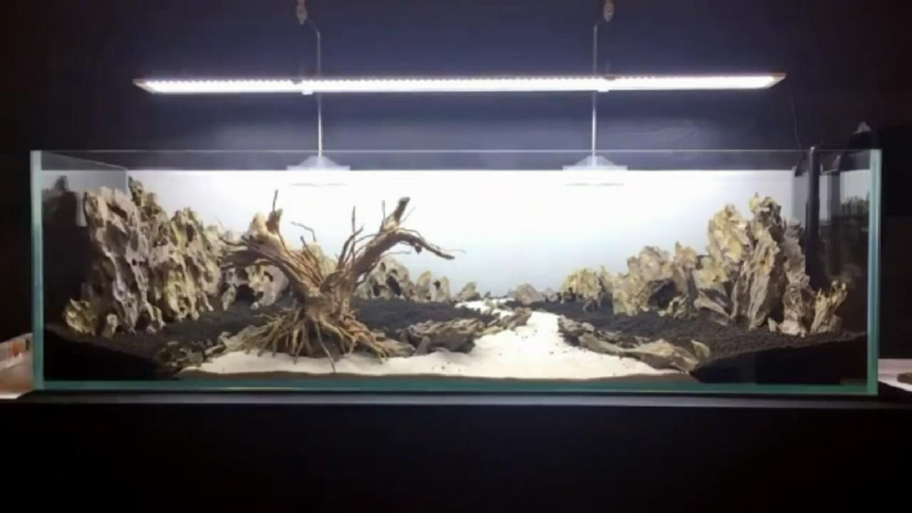 鱼缸微景观的方法和技巧,桌面鱼缸造景新手教程