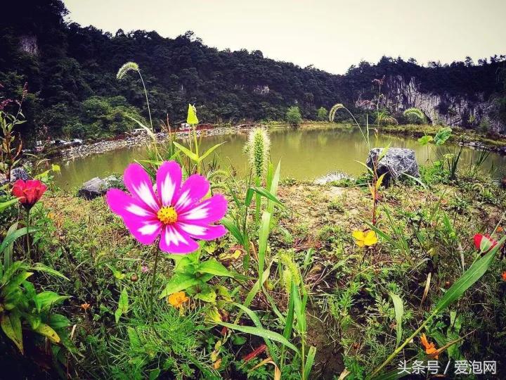 重庆到贵州2天高铁旅游攻略,高铁重庆到贵阳旅游2-3天推荐地方
