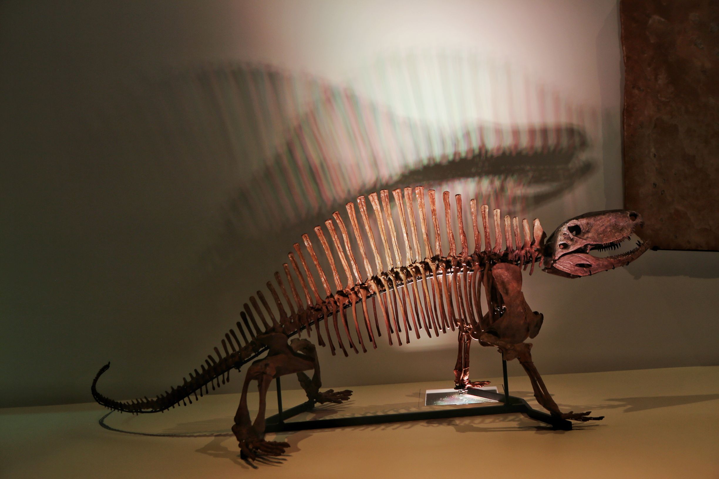 美国休斯顿:不只有火箭,看看这座城市有多强大