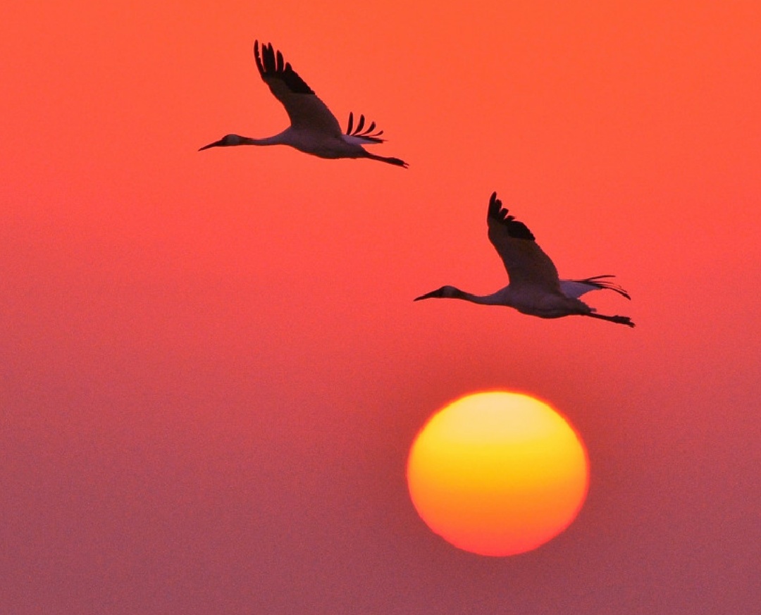怎样劝高中生不要谈恋爱,怎样引导高中生不谈恋爱