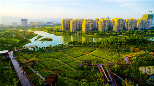 城市双修的缺点,什么是城市双修