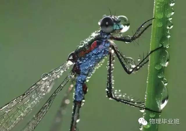 初三物理中考必考知识点归纳图片,中考物理16个必考模型