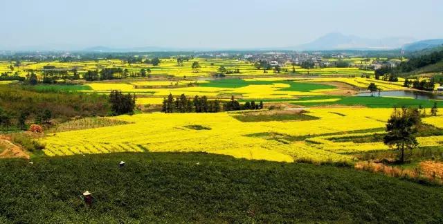 南京小区房价最新排名,南京各小区房价一览表