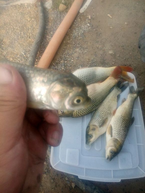 新鱼竿开光广西,新鱼竿开光的好处