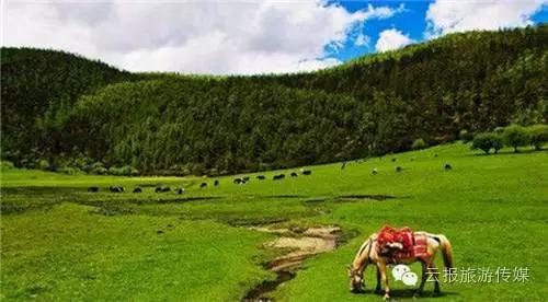 云南纳木错国家公园,云南昆明发现一个超大好玩的公园