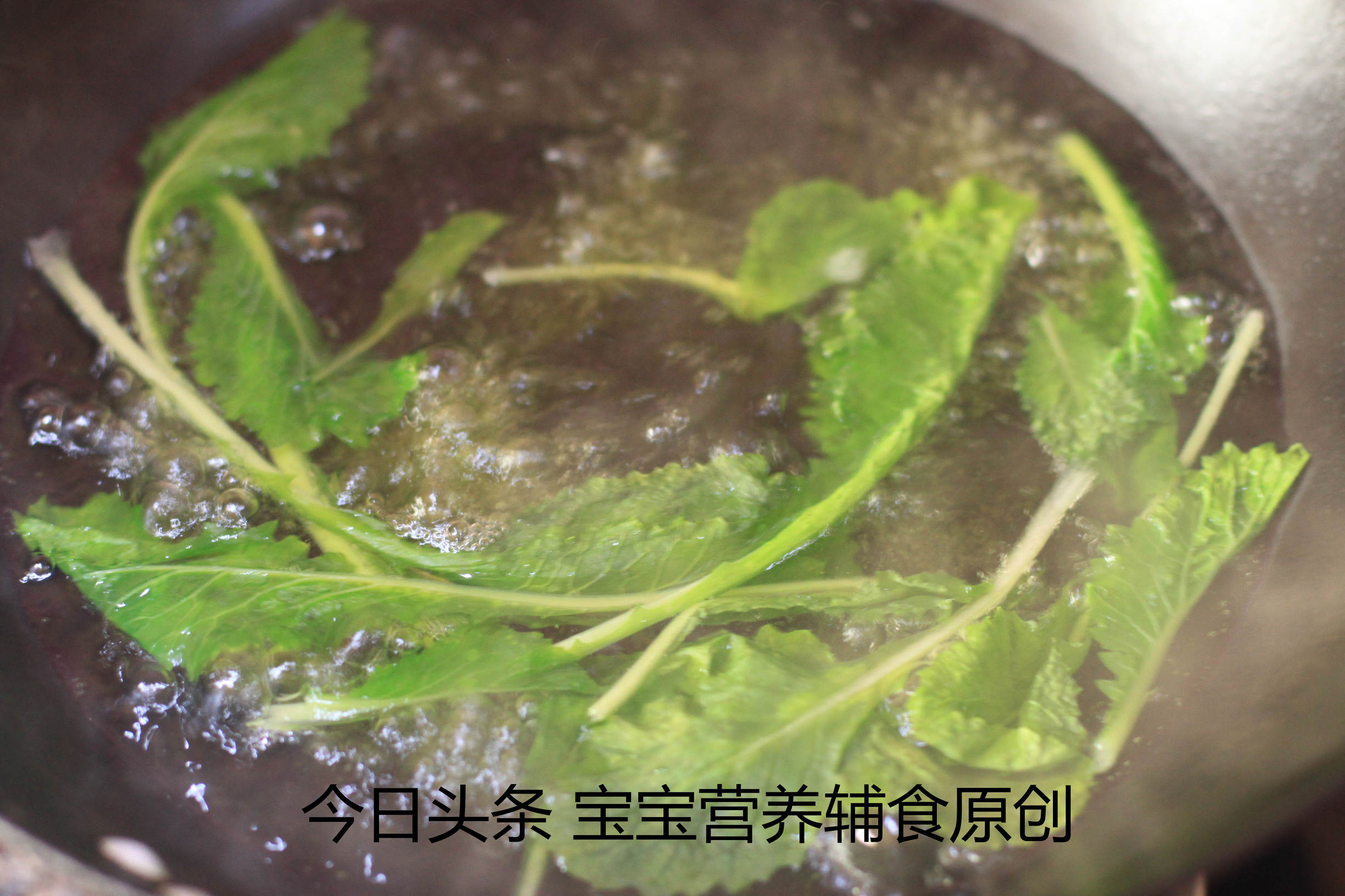 宝宝适合吃的青菜泥,不爱吃青菜宝宝辅食