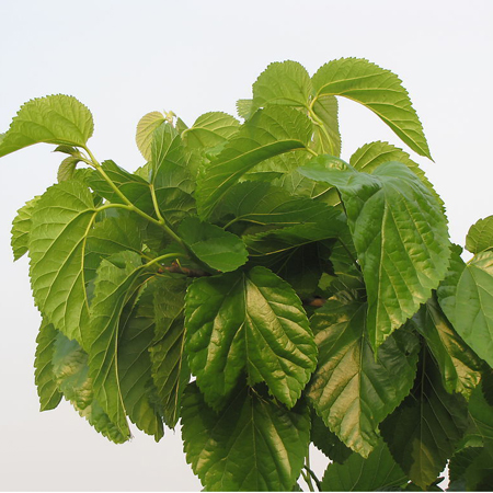 不看不晓得,不看不知道