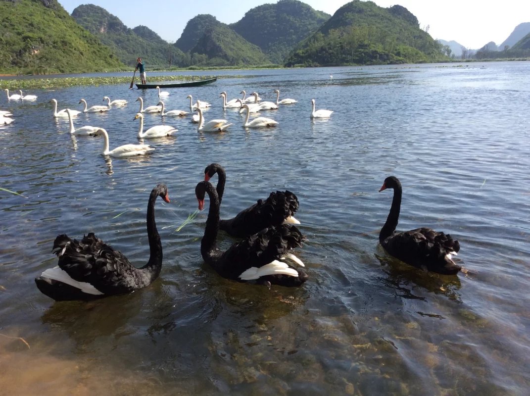 7月慢享时光，请不要放过普者黑