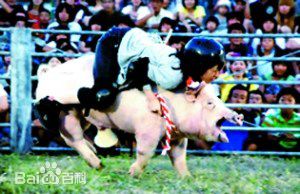 史上最奇葩的体育赛事,世界趣味体育赛事