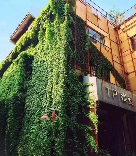 苏州船景婚纱照,三亚旅拍婚纱照游艇