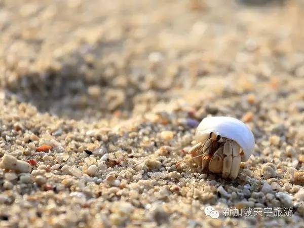 泰国的马尔代夫丽贝岛,泰国马尔代夫的海岛