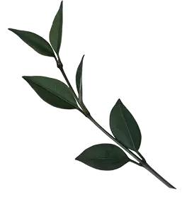 每个人心中都会有一座神秘园,每个人心里都会有一座神秘园