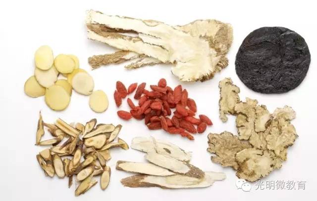 中医经典阅读100天,中医经典书籍学习体会1000字