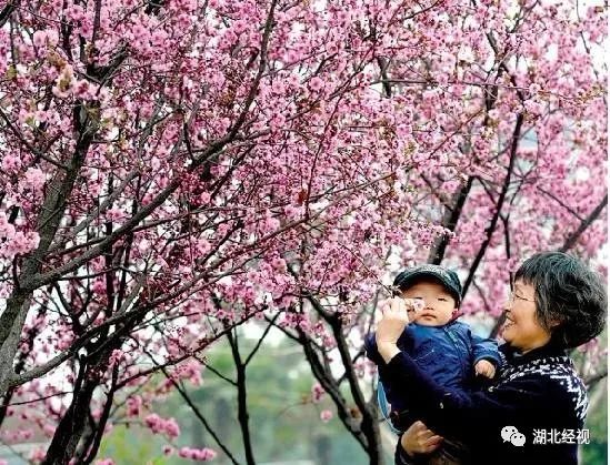 过敏宝宝必看知识,过敏儿童注意什么