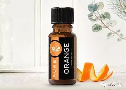 美乐家生姜精油的功效与作用,美乐家精油大全