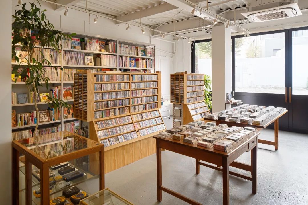 因为去了这些地方,GUCCI做出了“米兰恐怖故事”