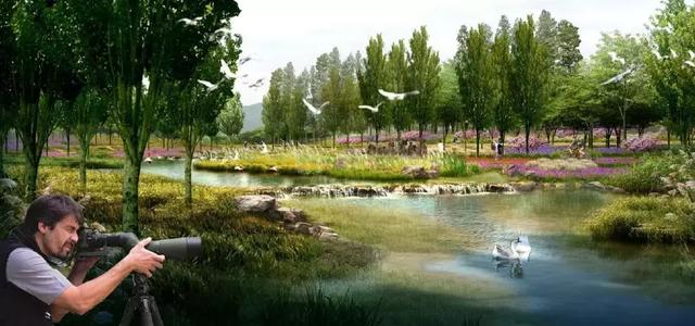 双流区新建设公园,双流规划的公园