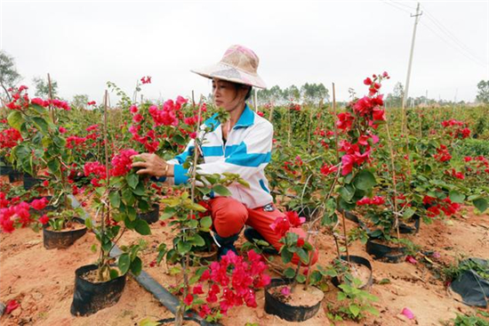 铁汉生态前景如何,铁汉生态环保集团有限公司